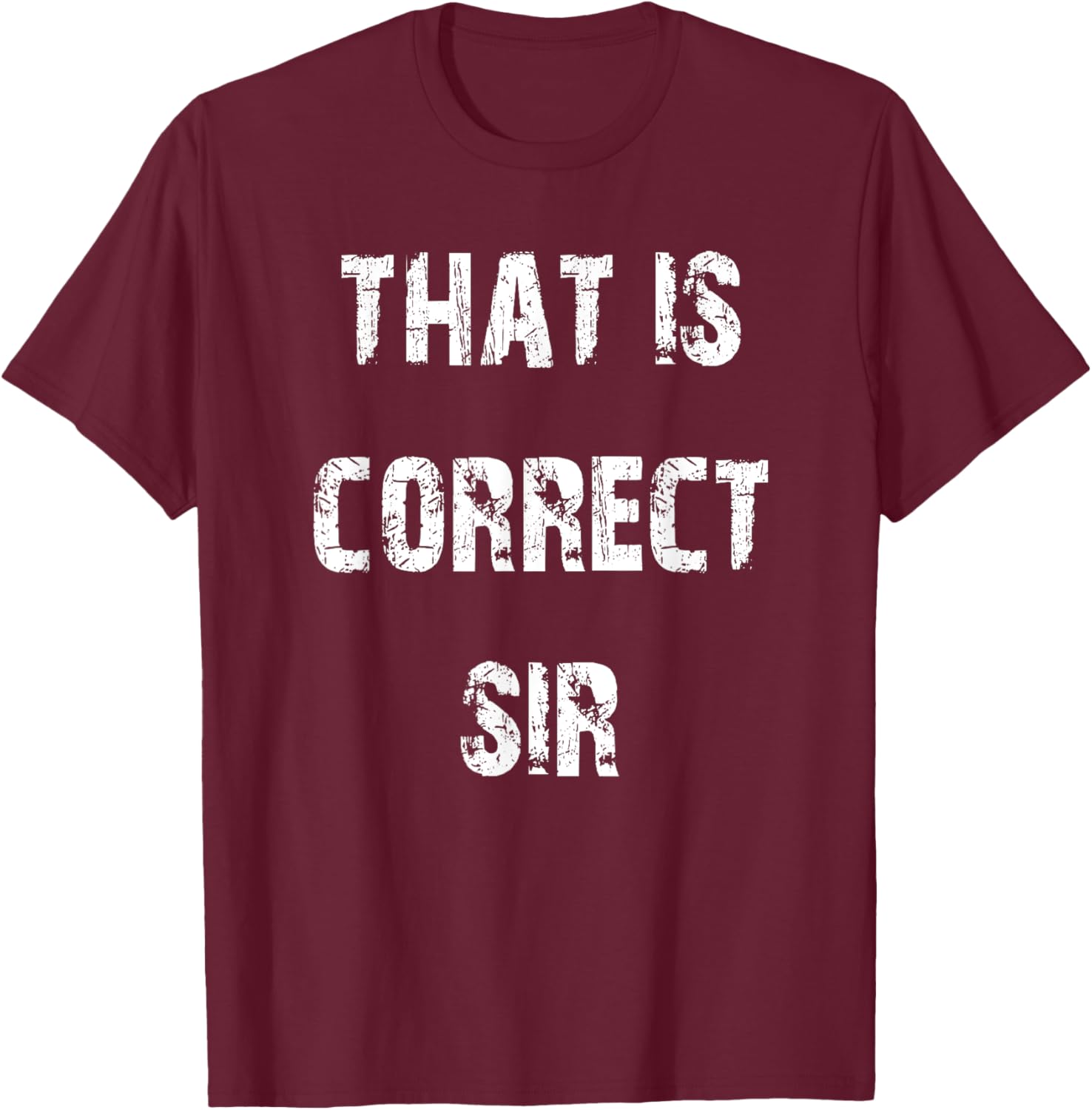 That Is Correct Sir T-Shirt for Men and Women - Fun Casual Apparel - 6