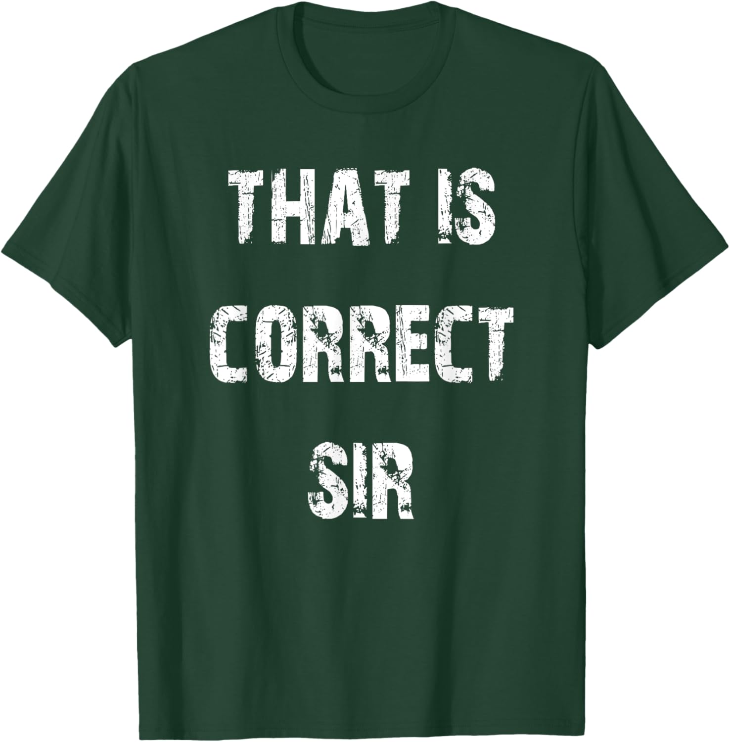 That Is Correct Sir T-Shirt for Men and Women - Fun Casual Apparel - 15