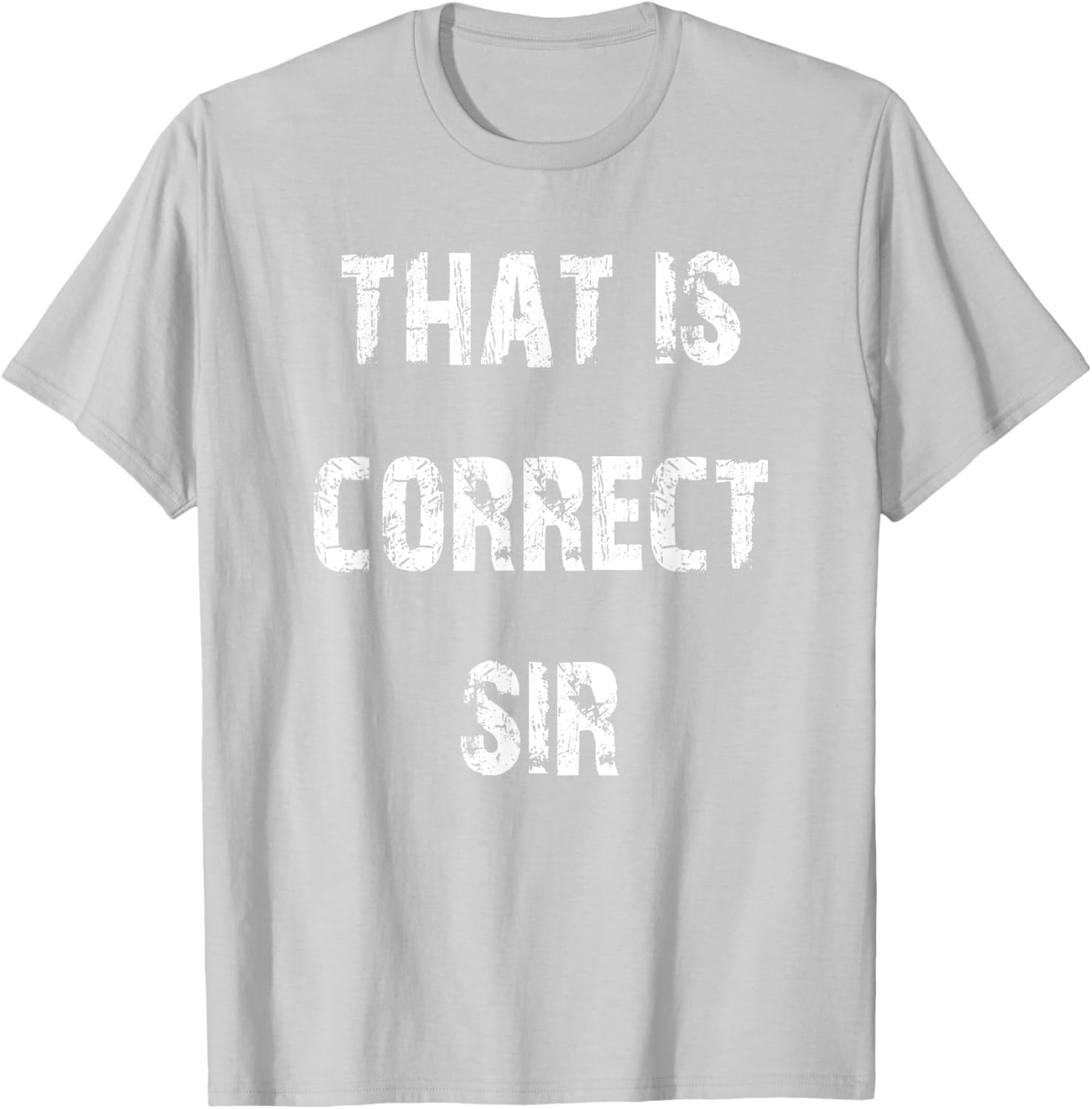 That Is Correct Sir T-Shirt for Men and Women - Fun Casual Apparel - 27