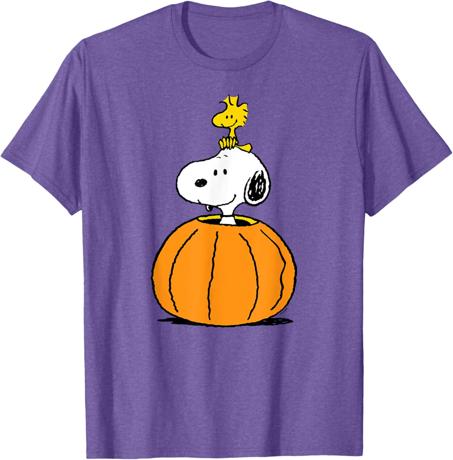 Snoopy Pumpkin T-Shirt with Woodstock Cute Fall Design for Peanuts Fans - 8