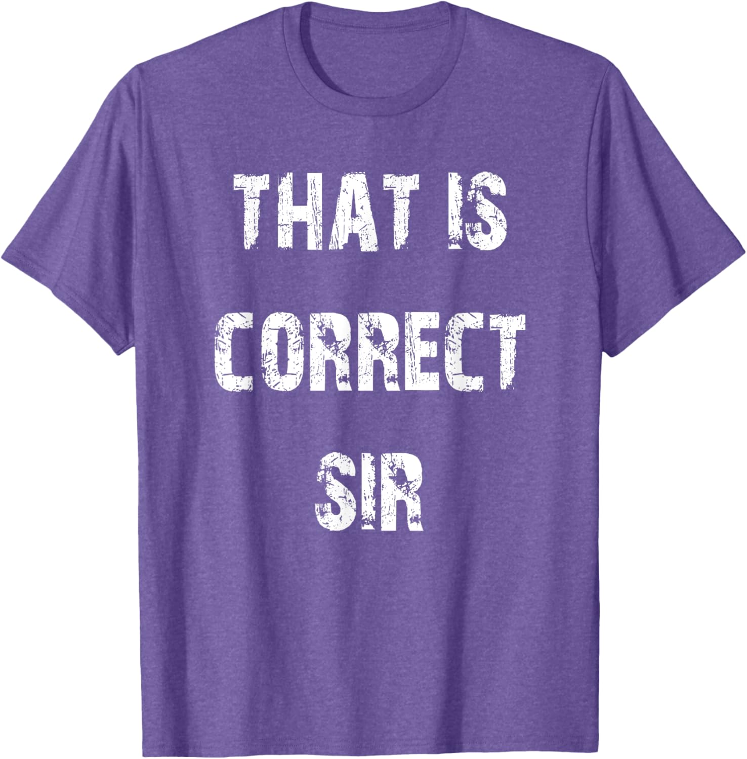 That Is Correct Sir T-Shirt for Men and Women - Fun Casual Apparel - 3