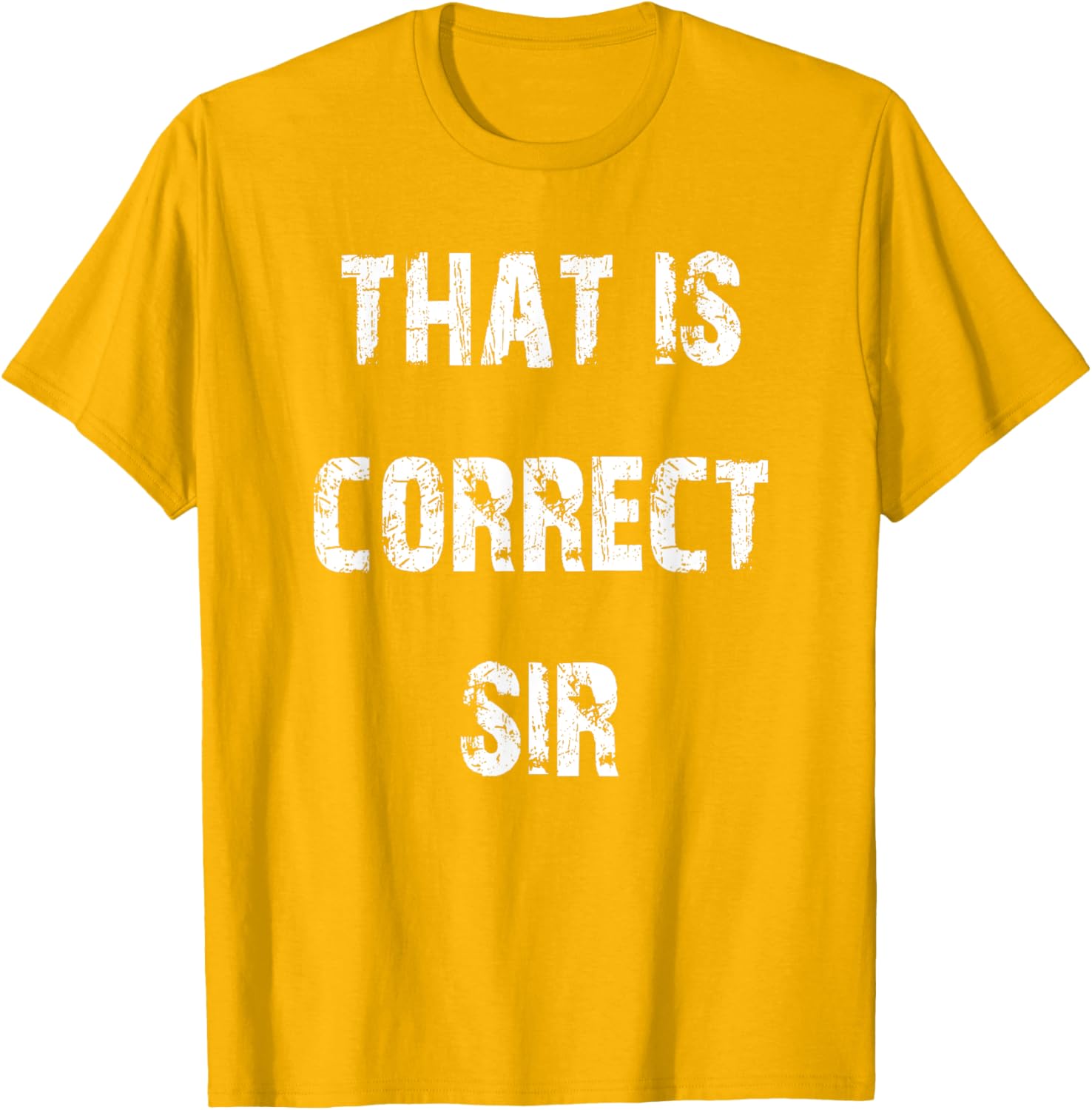 That Is Correct Sir T-Shirt for Men and Women - Fun Casual Apparel - 23