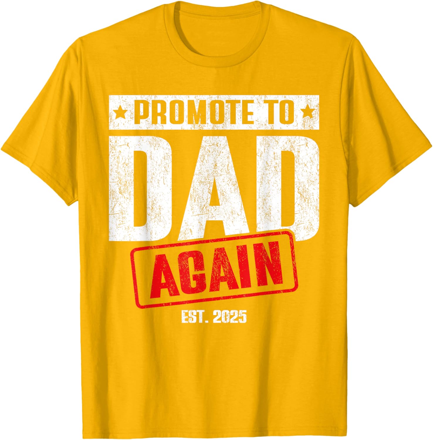 Vintage Retro Dad 2025 T-Shirt for Men - Perfect Gift for New Dads - 11