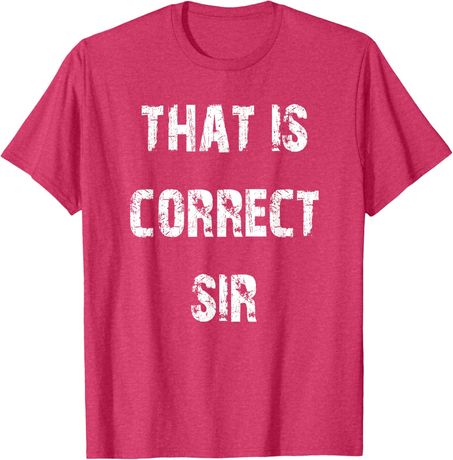 That Is Correct Sir T-Shirt for Men and Women - Fun Casual Apparel - 24