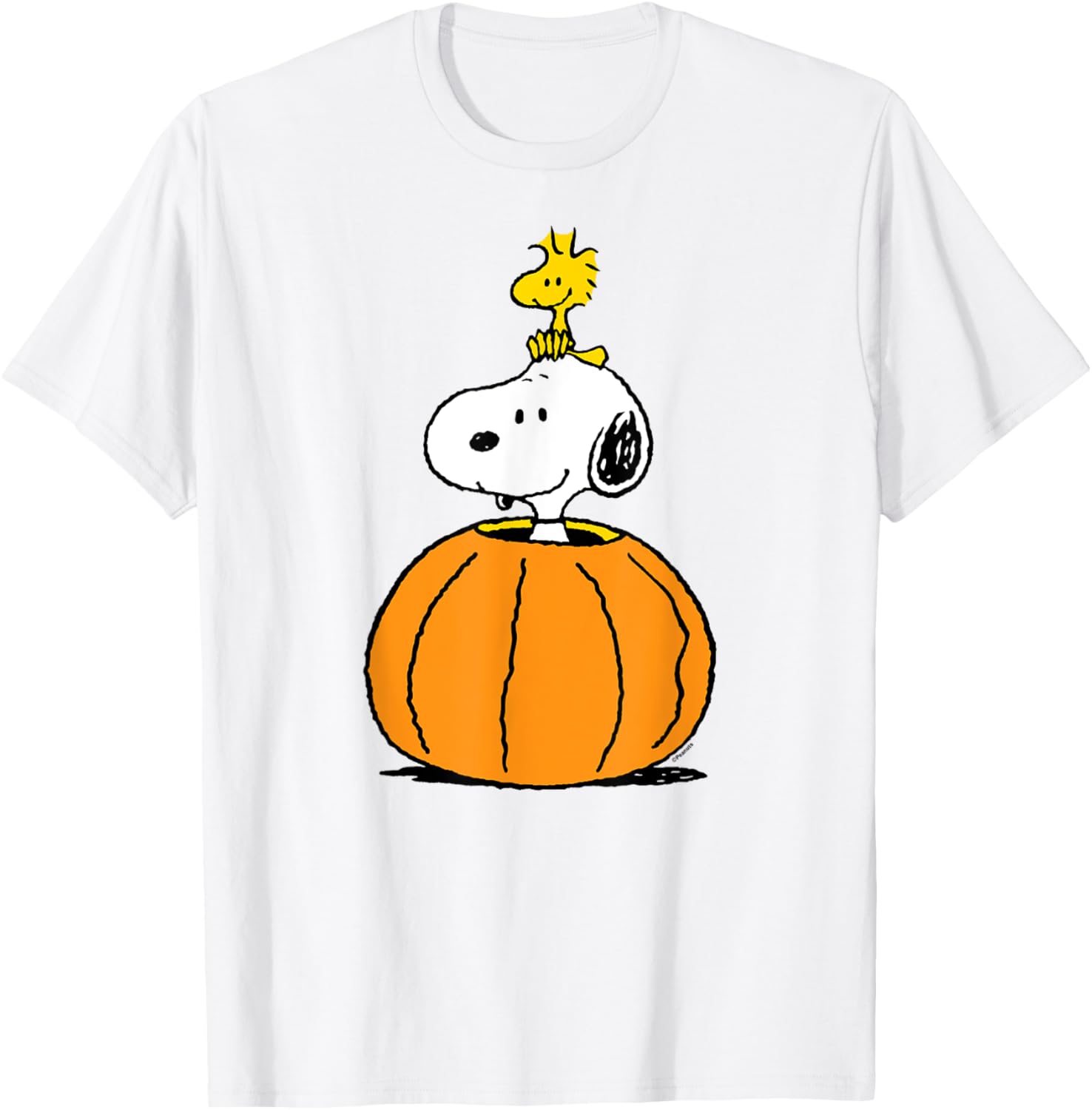 Snoopy Pumpkin T-Shirt with Woodstock Cute Fall Design for Peanuts Fans - 5