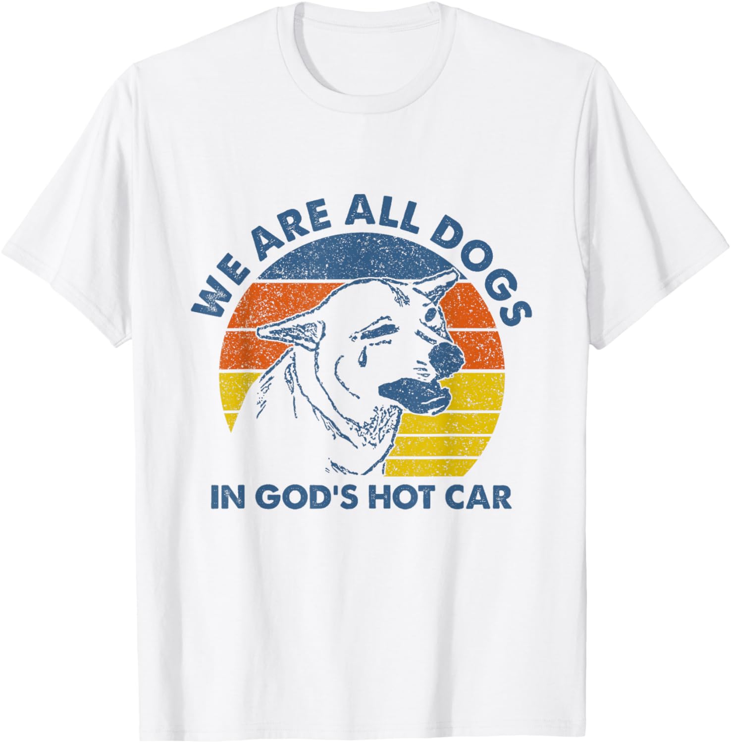 Sarcastic Dog Meme T-Shirt We Are All Dogs in God's Hot Car Humor - 11