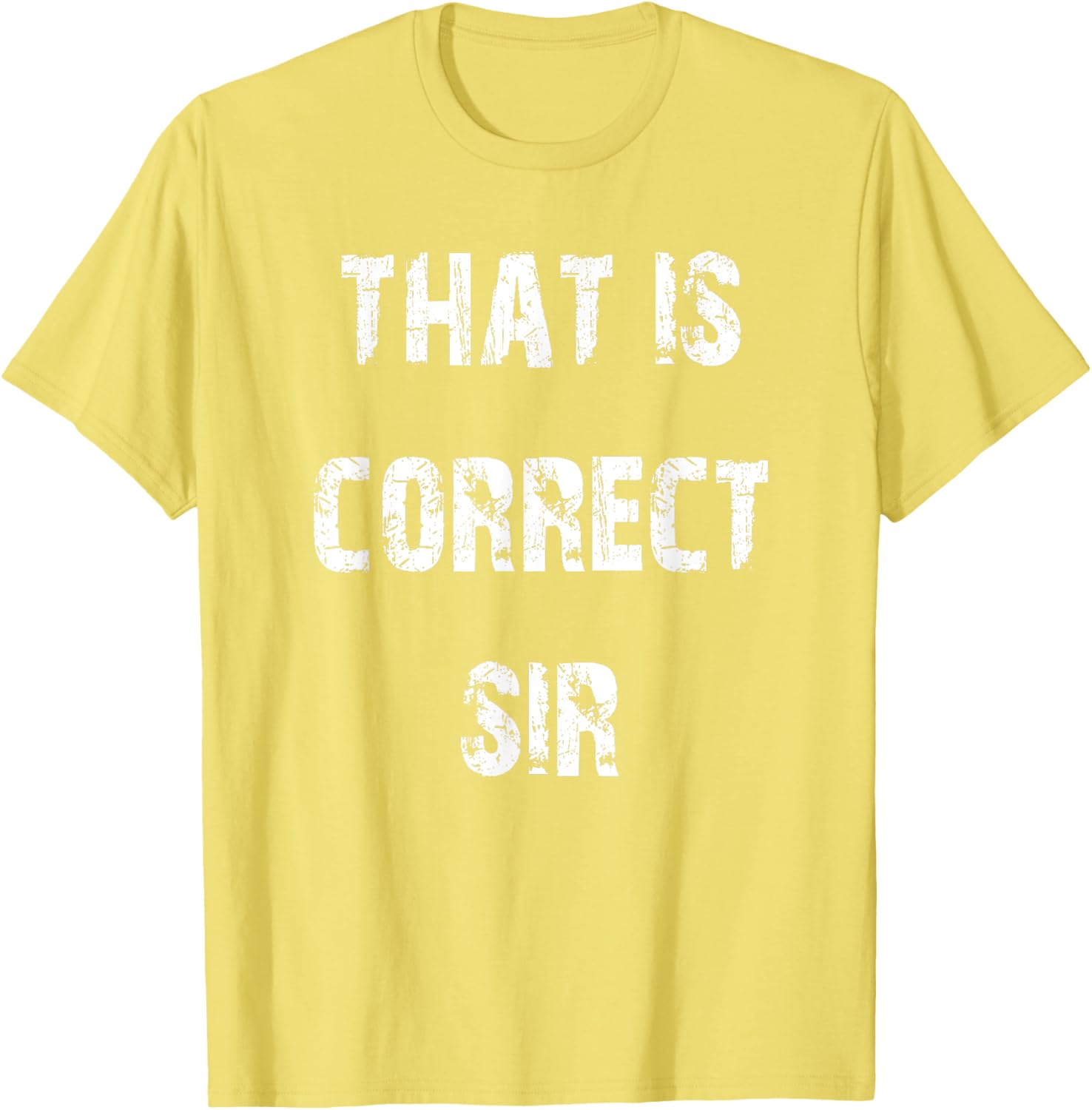 That Is Correct Sir T-Shirt for Men and Women - Fun Casual Apparel - 14