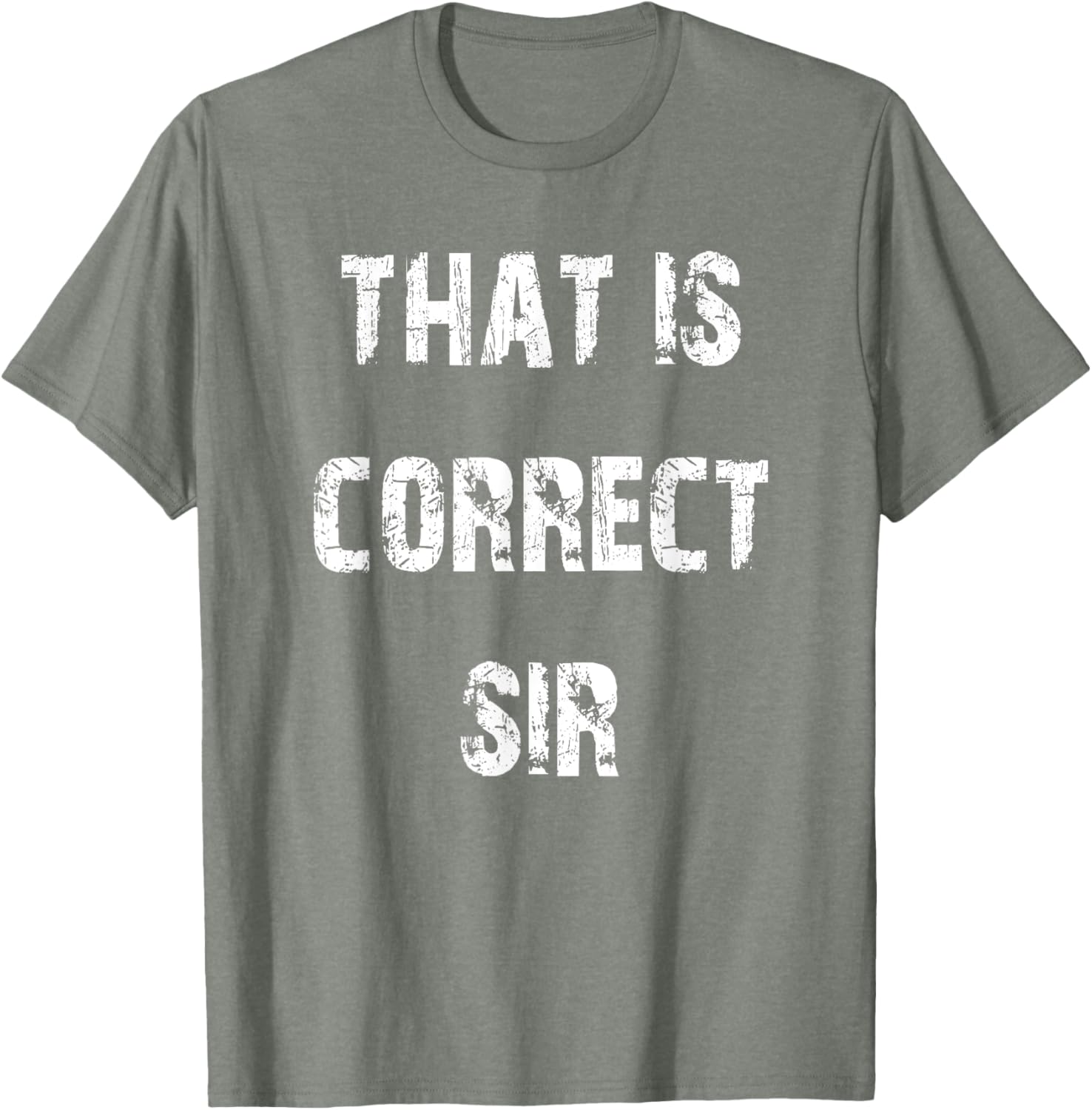 That Is Correct Sir T-Shirt for Men and Women - Fun Casual Apparel - 13