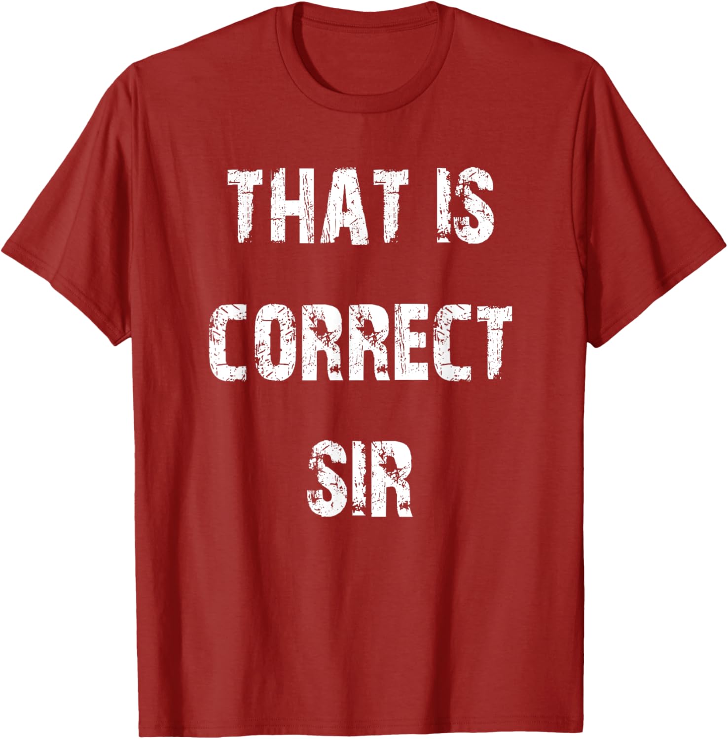 That Is Correct Sir T-Shirt for Men and Women - Fun Casual Apparel - 1