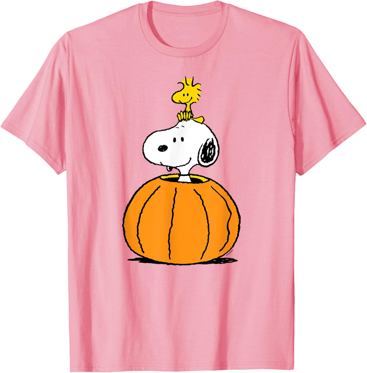 Snoopy Pumpkin T-Shirt with Woodstock Cute Fall Design for Peanuts Fans - 6