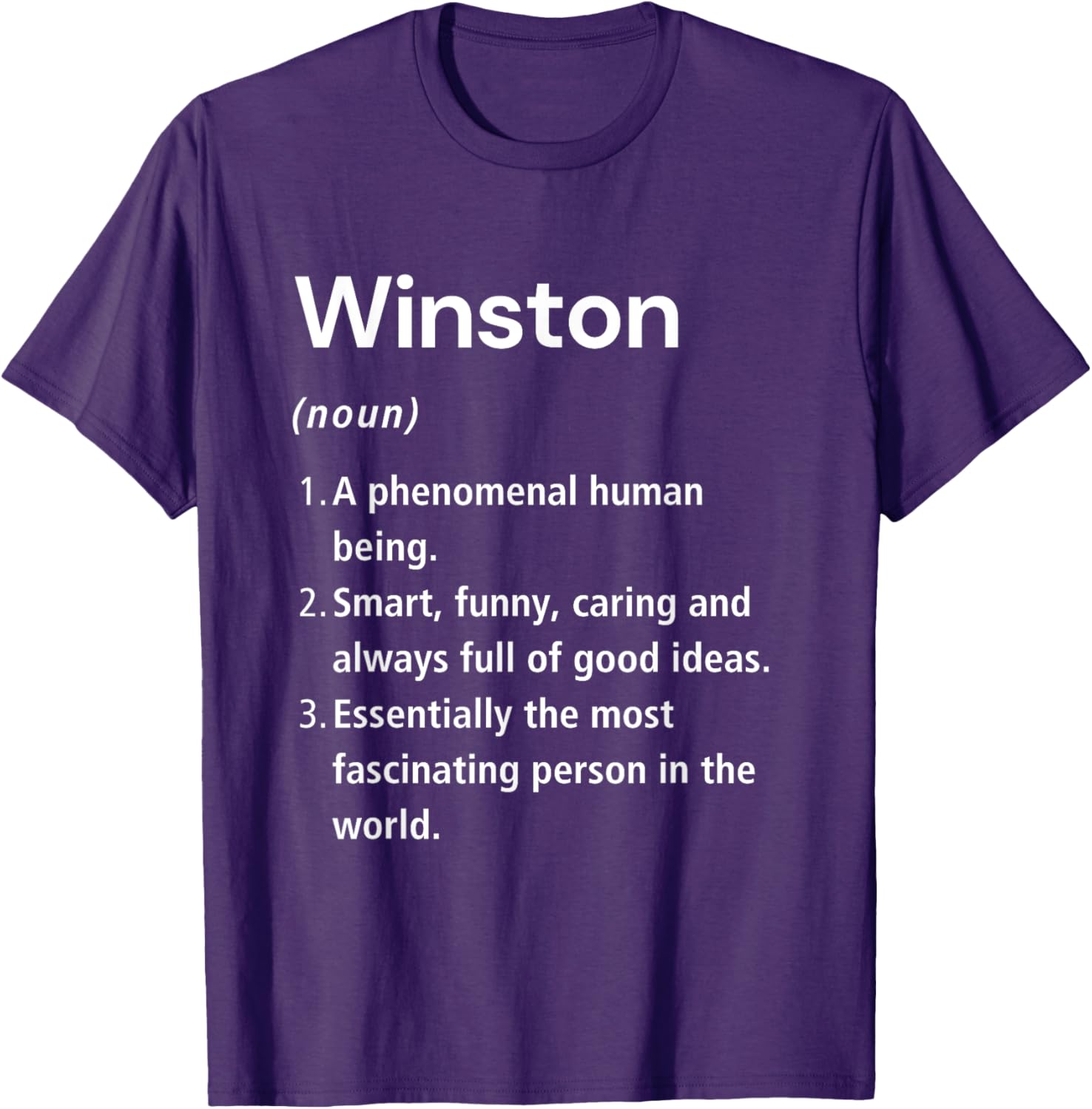 Winston Name Definition Funny Dictionary T-Shirt for Humorous Style - 8