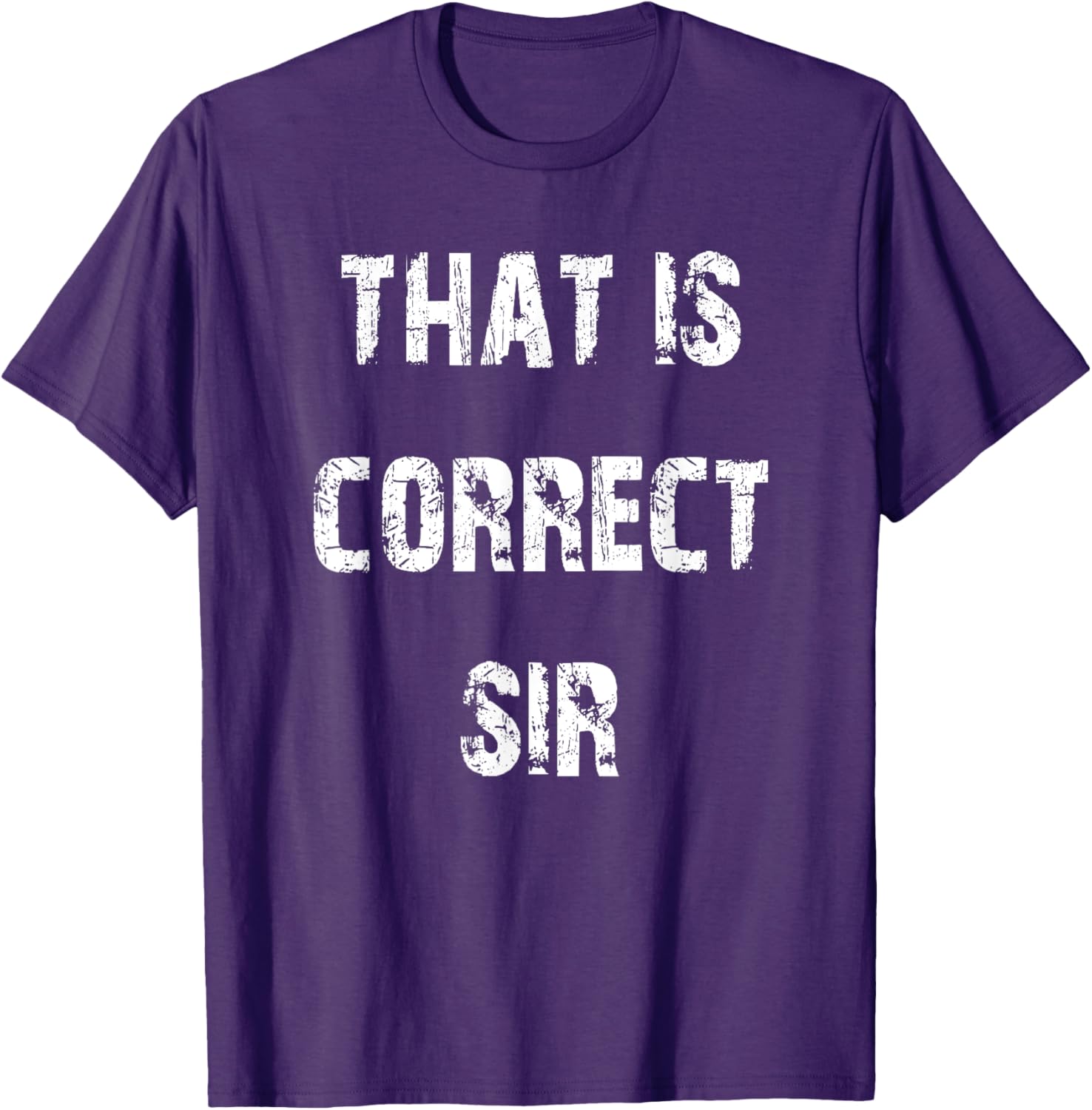 That Is Correct Sir T-Shirt for Men and Women - Fun Casual Apparel - 17