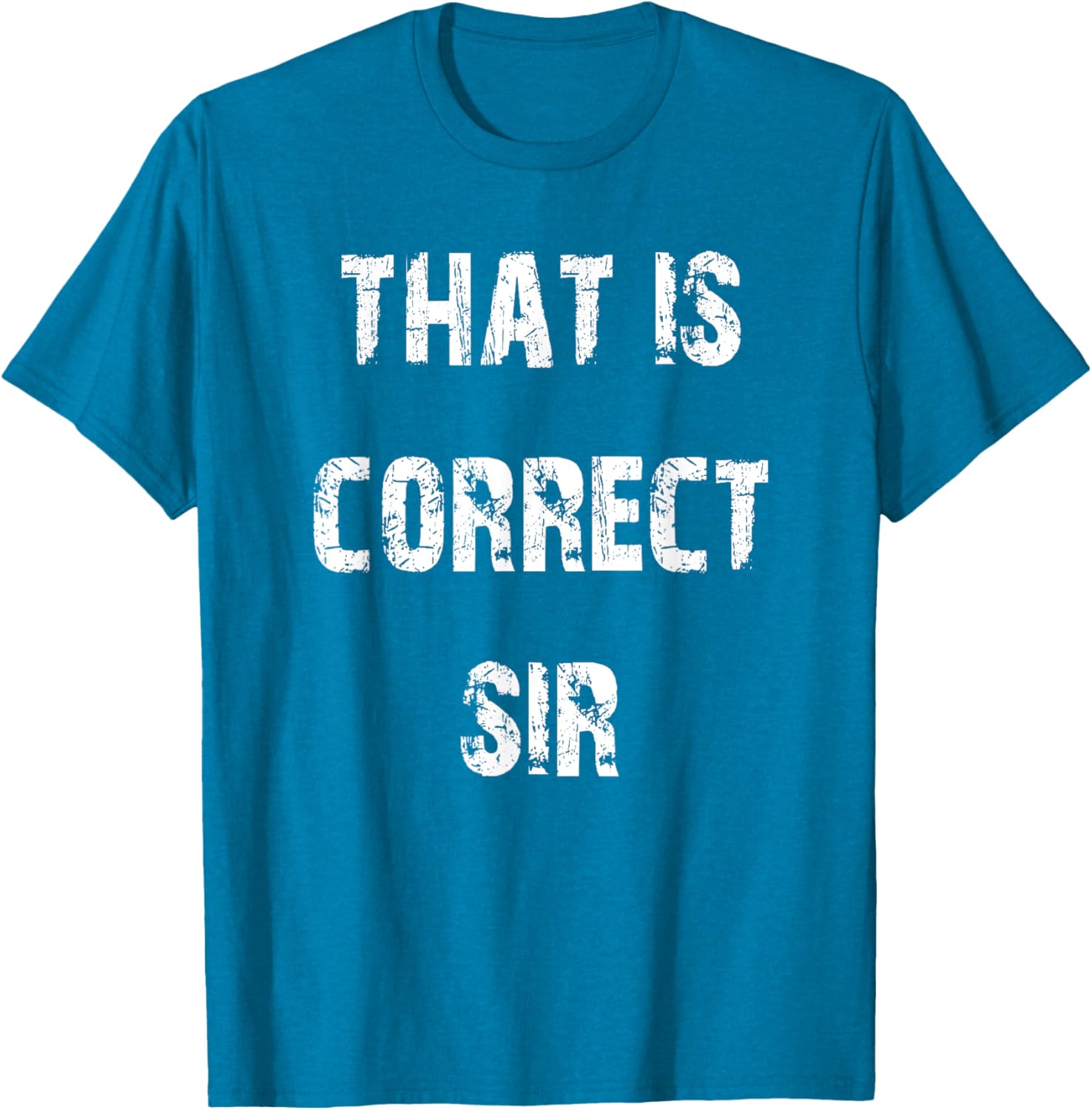 That Is Correct Sir T-Shirt for Men and Women - Fun Casual Apparel - 18
