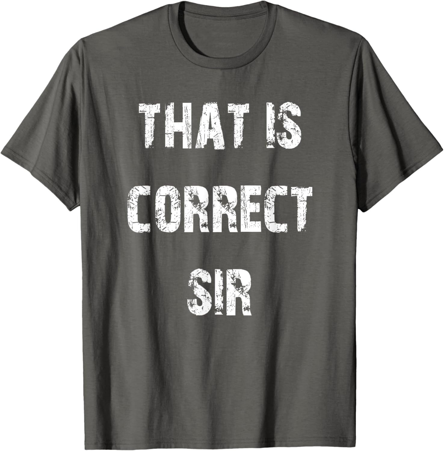 That Is Correct Sir T-Shirt for Men and Women - Fun Casual Apparel - 25