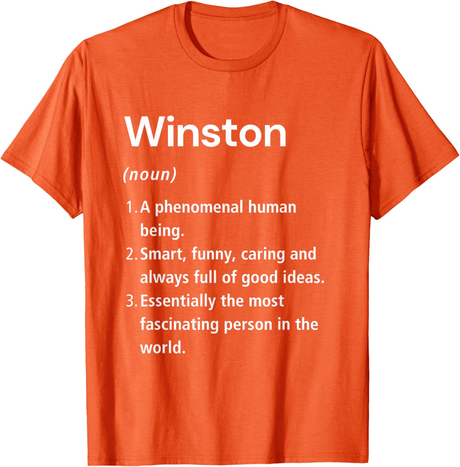 Winston Name Definition Funny Dictionary T-Shirt for Humorous Style - 13