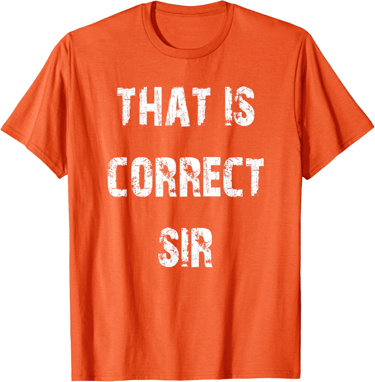 That Is Correct Sir T-Shirt for Men and Women - Fun Casual Apparel - 22