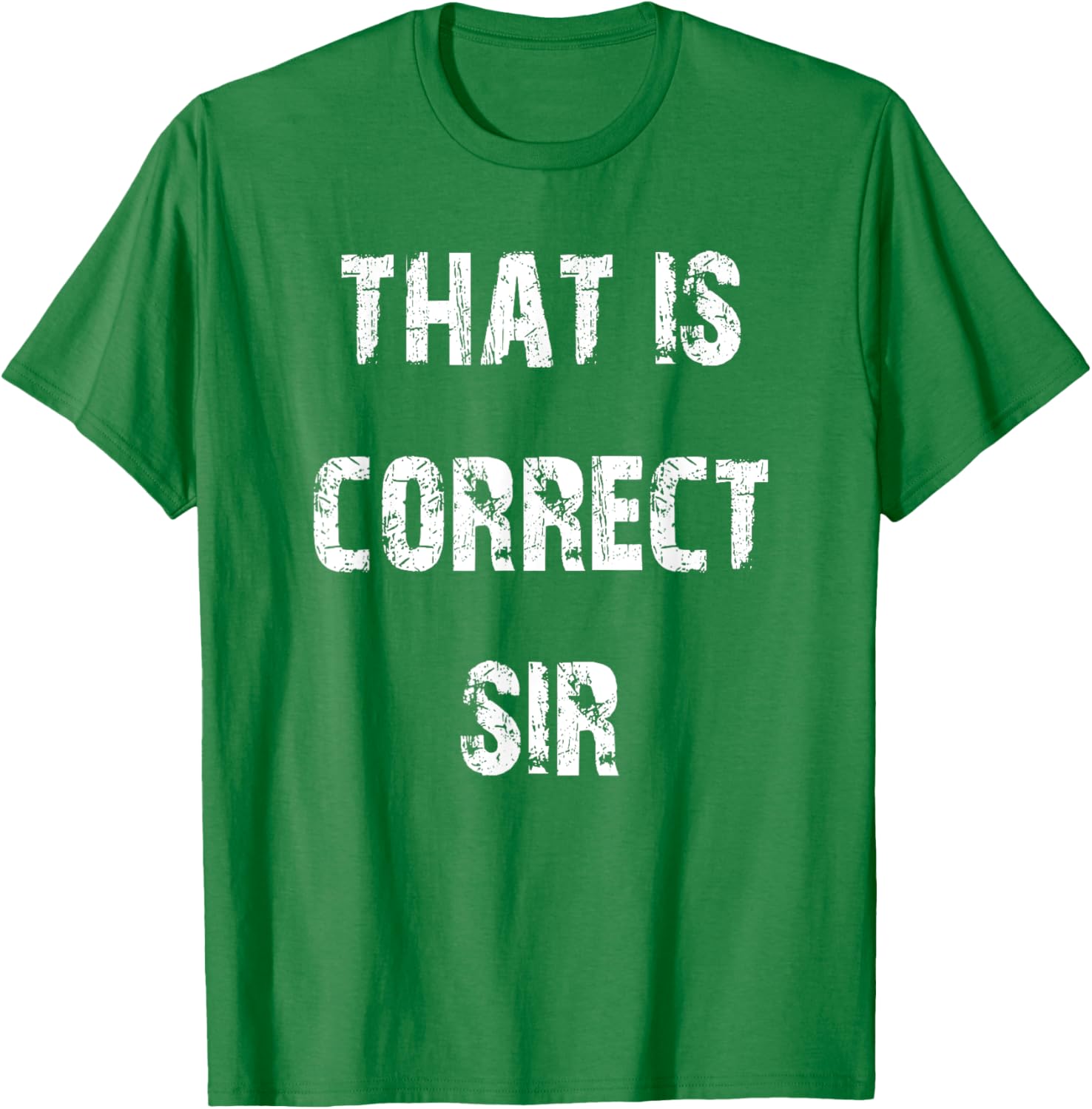 That Is Correct Sir T-Shirt for Men and Women - Fun Casual Apparel - 20