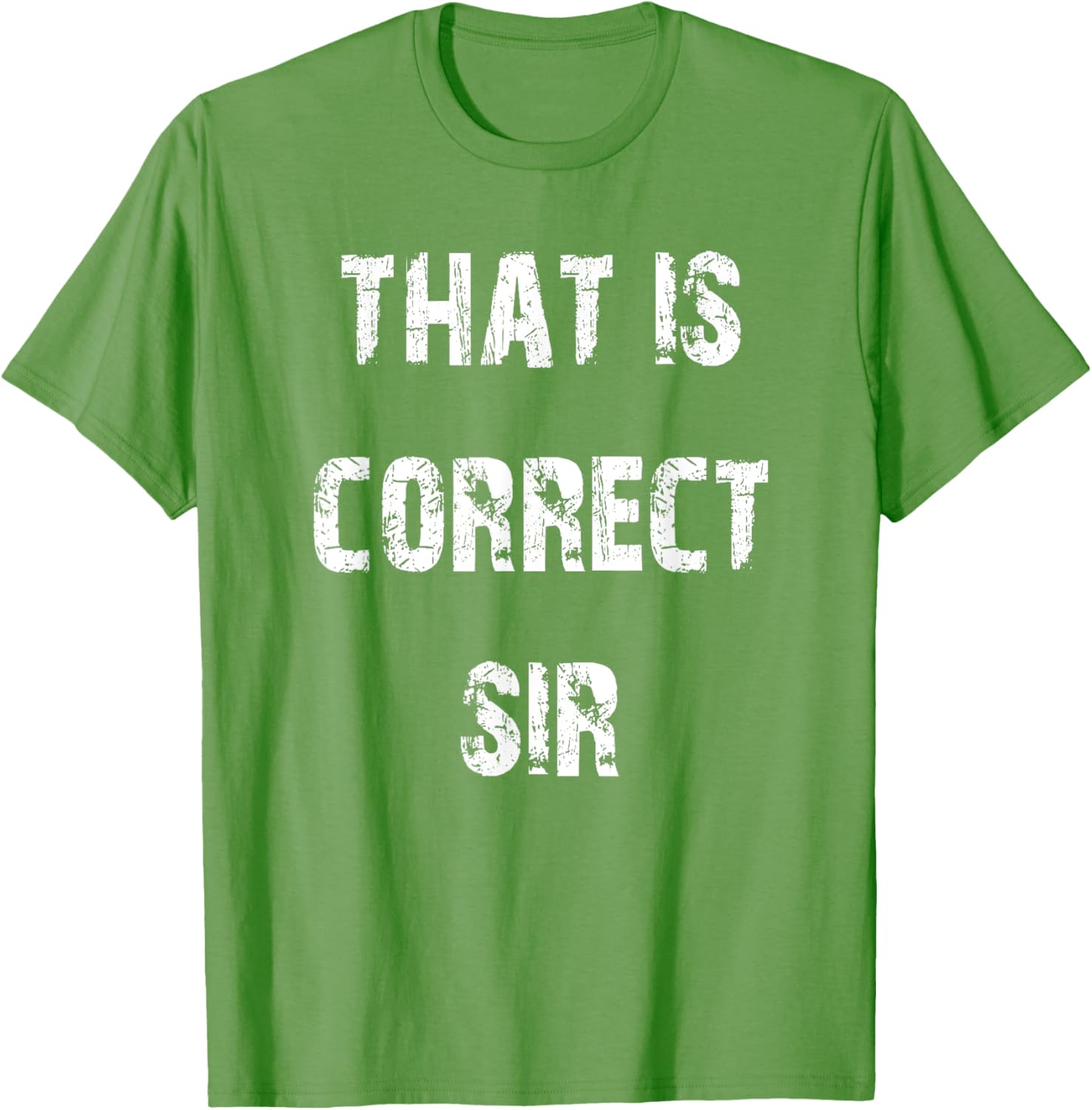 That Is Correct Sir T-Shirt for Men and Women - Fun Casual Apparel - 2