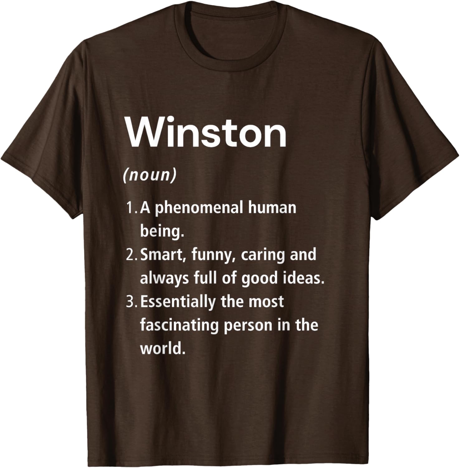 Winston Name Definition Funny Dictionary T-Shirt for Humorous Style - 24