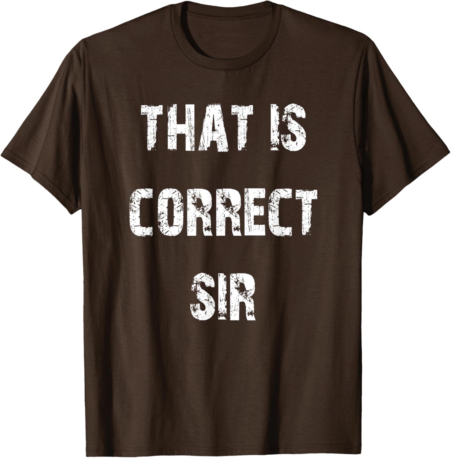 That Is Correct Sir T-Shirt for Men and Women - Fun Casual Apparel - 11