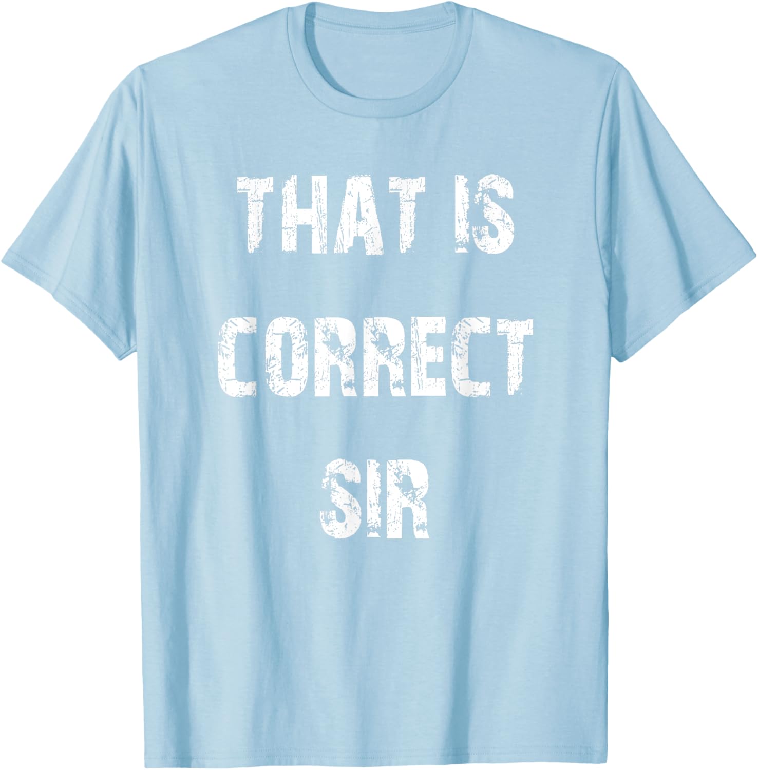 That Is Correct Sir T-Shirt for Men and Women - Fun Casual Apparel - 8