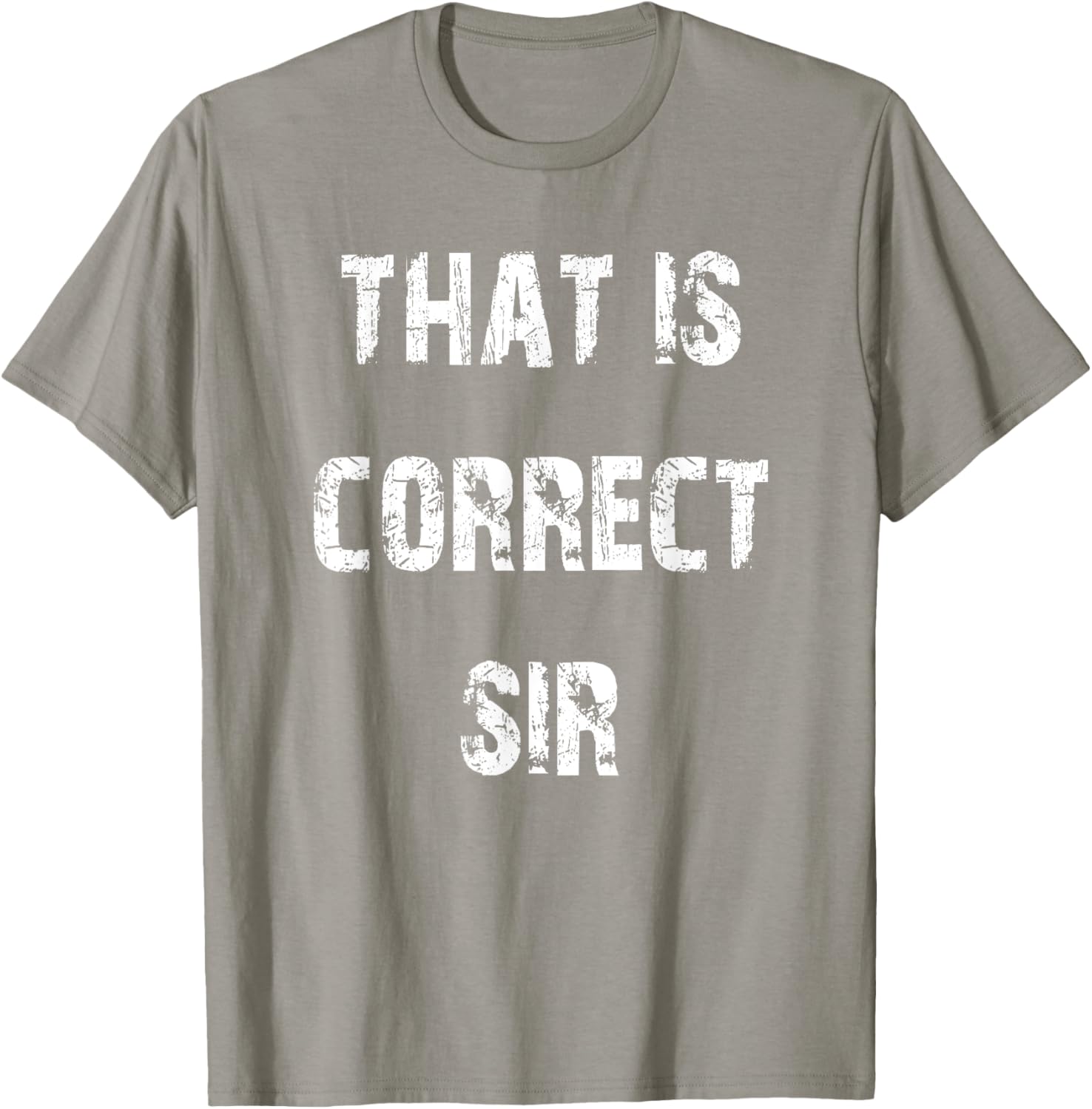 That Is Correct Sir T-Shirt for Men and Women - Fun Casual Apparel - 12