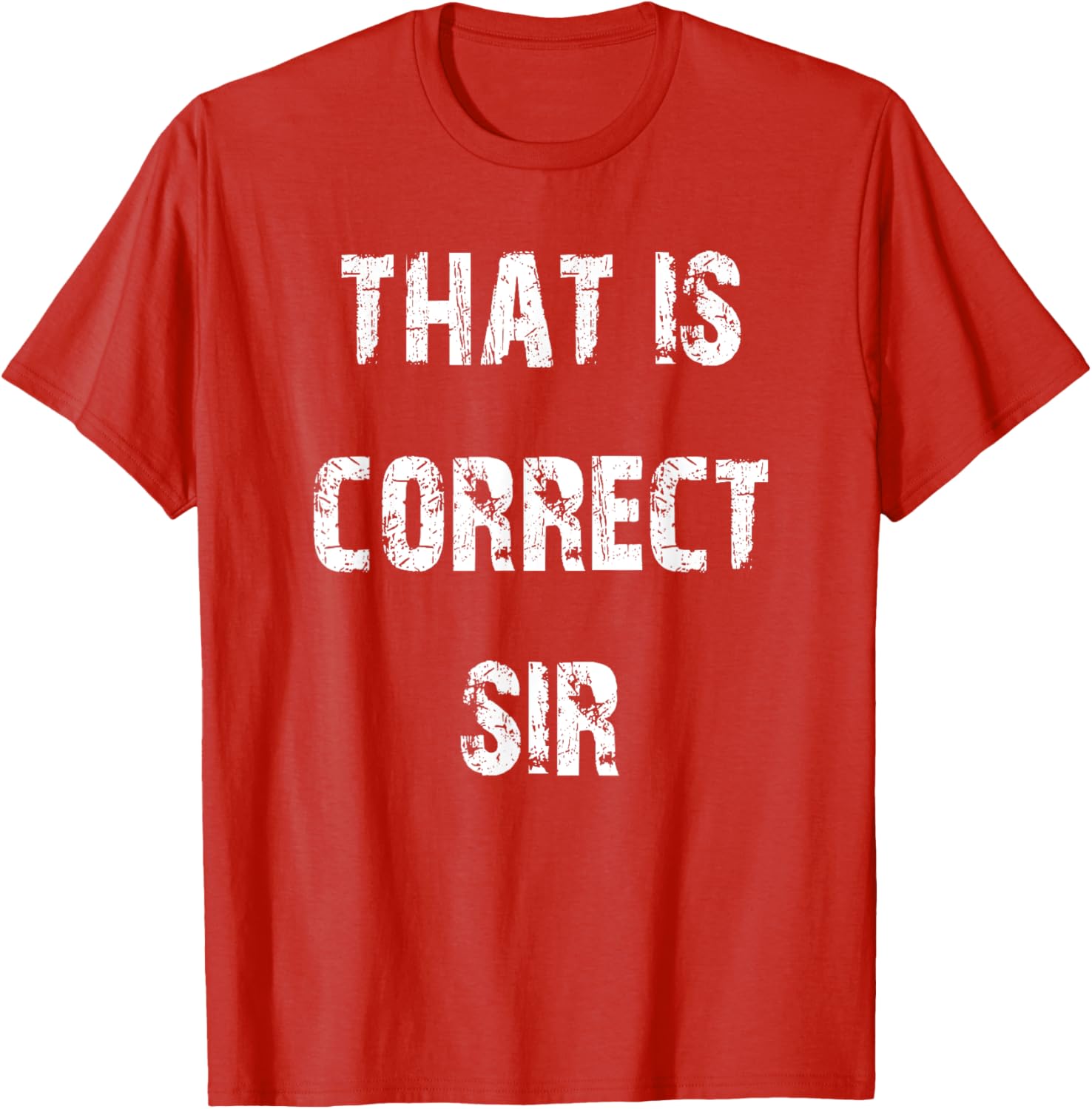 That Is Correct Sir T-Shirt for Men and Women - Fun Casual Apparel - 4