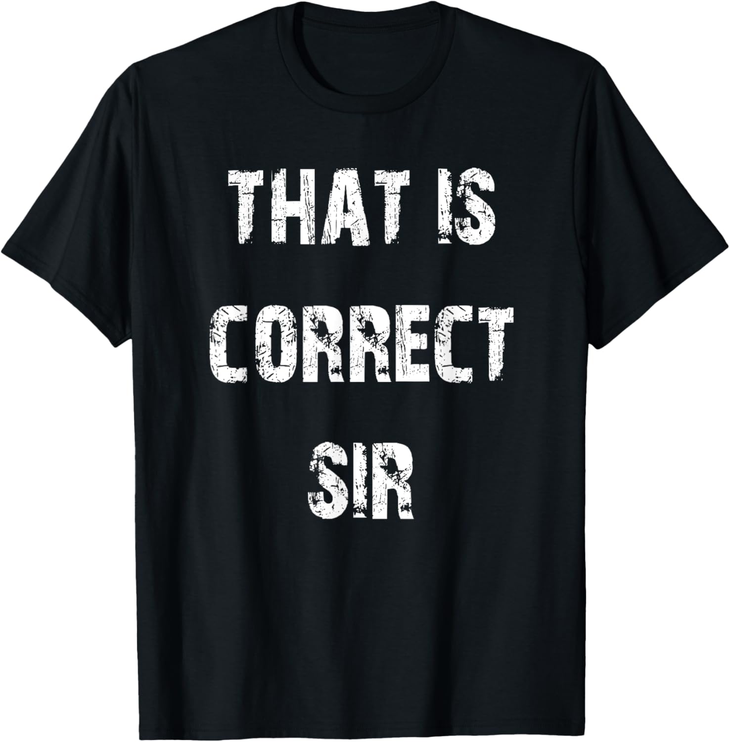 That Is Correct Sir T-Shirt for Men and Women - Fun Casual Apparel - 21