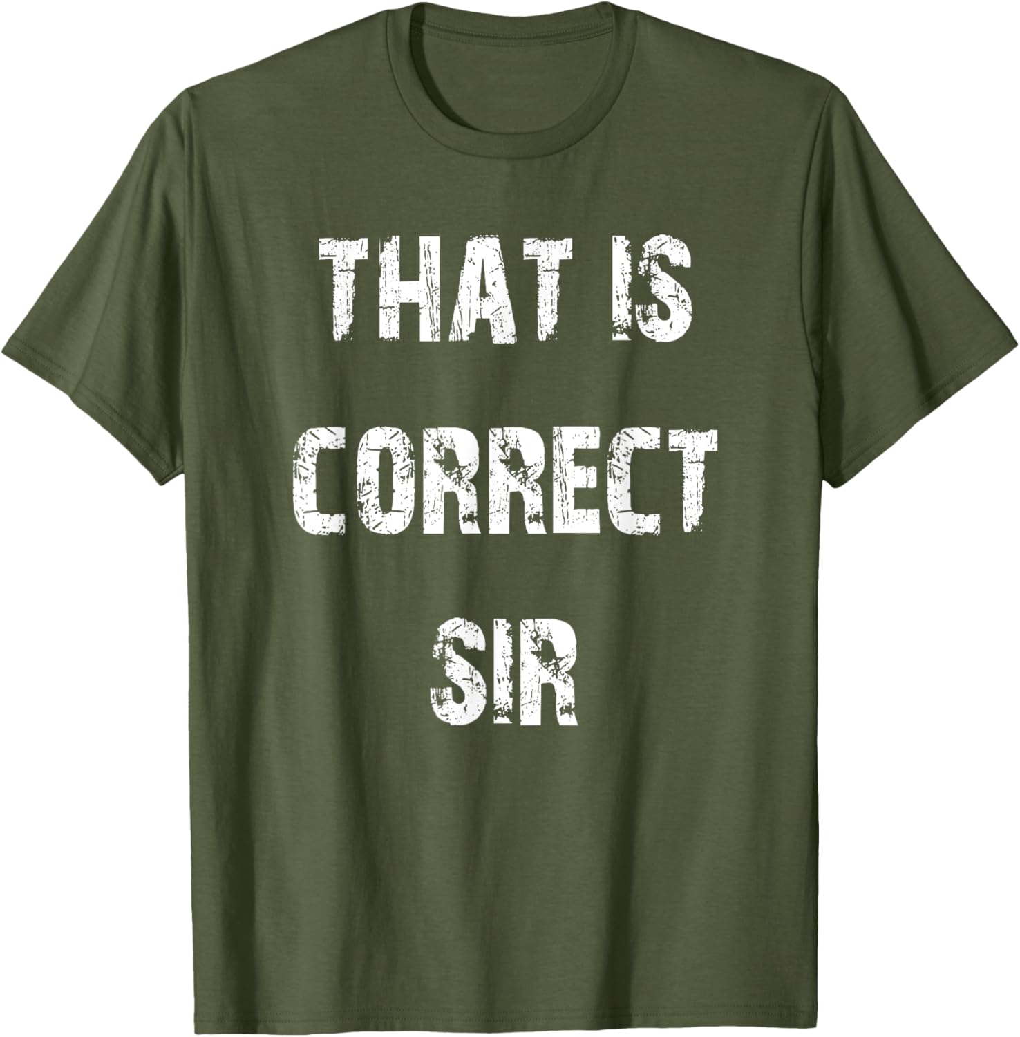 That Is Correct Sir T-Shirt for Men and Women - Fun Casual Apparel - 5