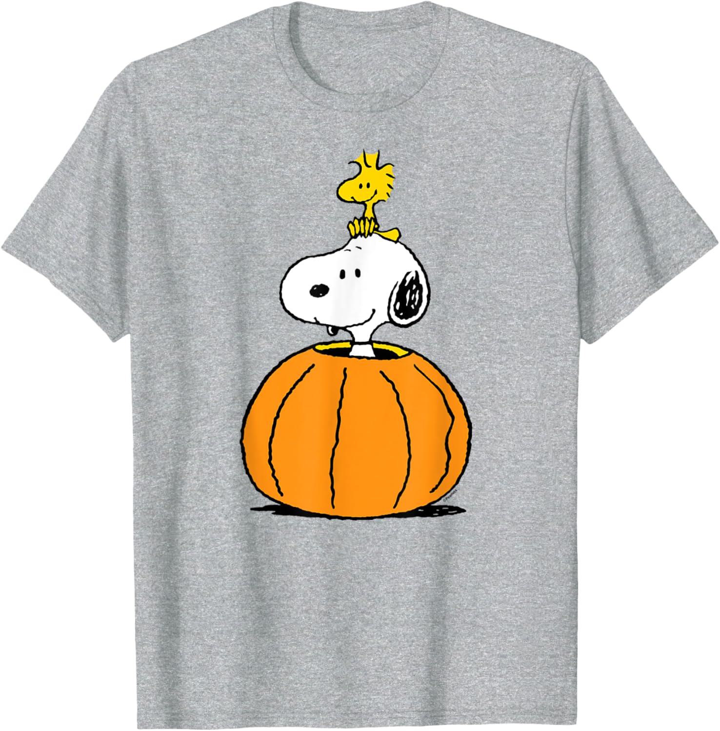 Snoopy Pumpkin T-Shirt with Woodstock Cute Fall Design for Peanuts Fans - 4