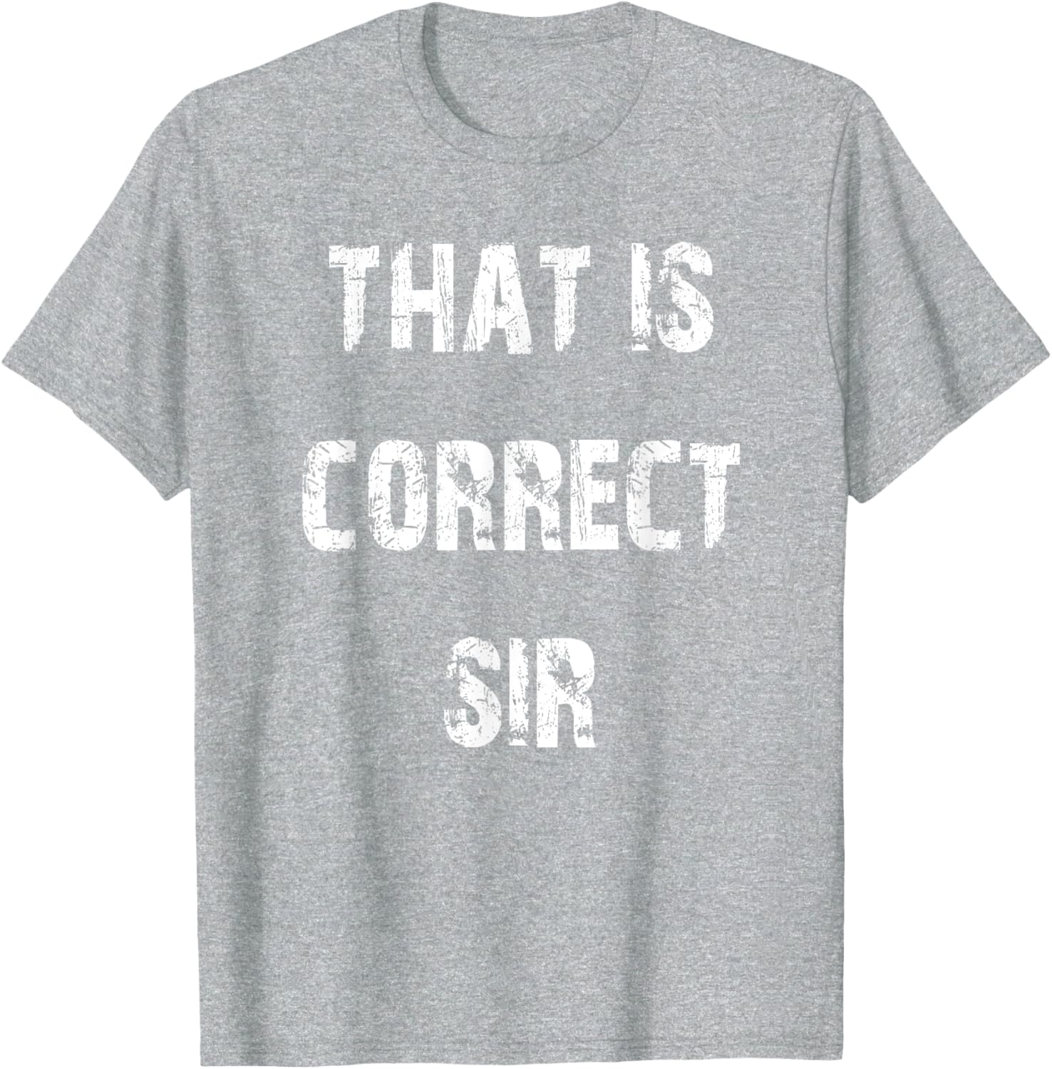 That Is Correct Sir T-Shirt for Men and Women - Fun Casual Apparel - 28